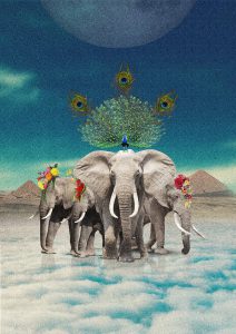 Elephant Party in Giza Imagery